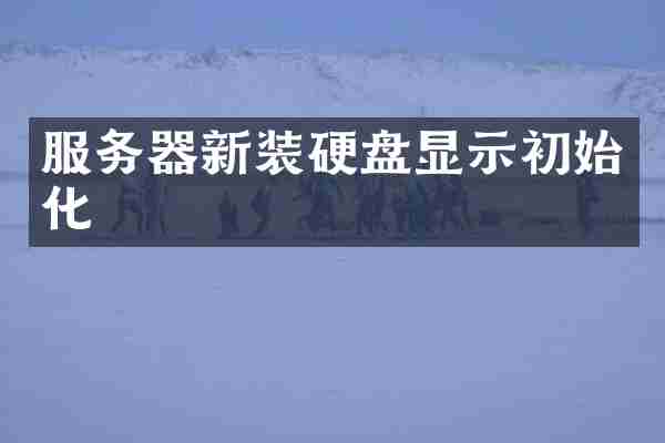 服务器新装硬盘显示初始化