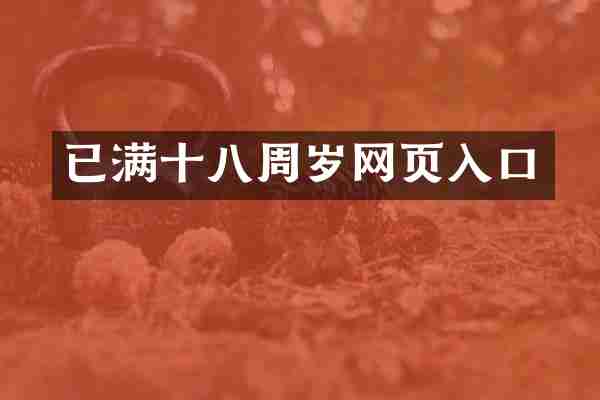 已满十八周岁网页入口