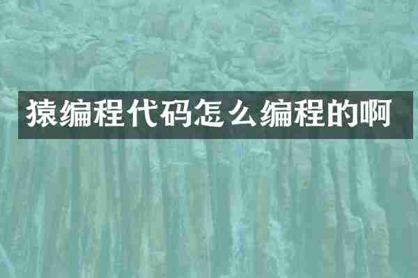 猿编程代码怎么编程的啊