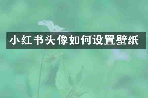 小红书头像如何设置壁纸