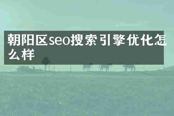 朝阳区seo搜索引擎优化怎么样