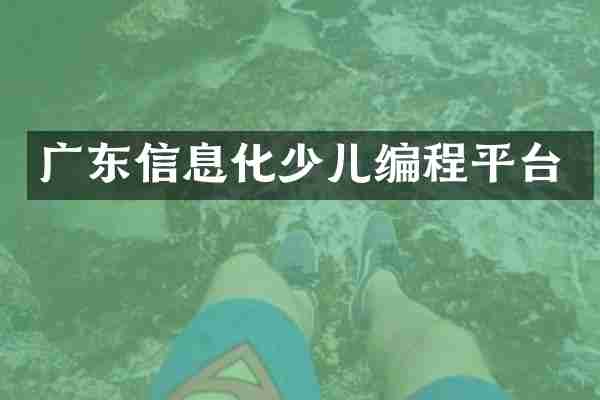 广东信息化少儿编程平台
