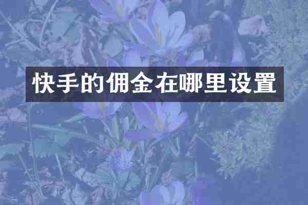 快手的佣金在哪里设置