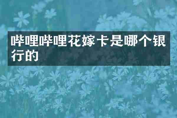 哔哩哔哩花嫁卡是哪个银行的