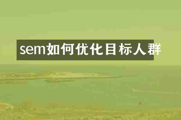 sem如何优化目标人群