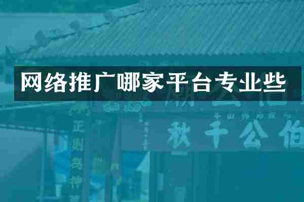 网络推广哪家平台专业些