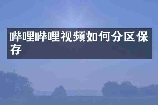 哔哩哔哩视频如何分区保存