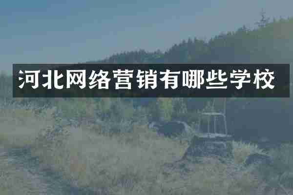 河北网络营销有哪些学校