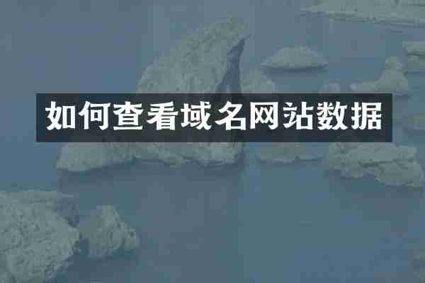 如何查看域名网站数据