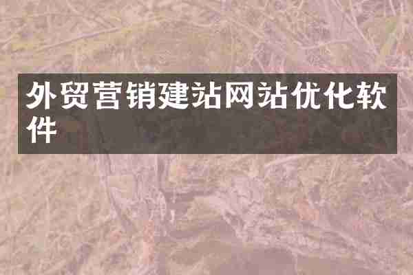 外贸营销建站网站优化软件