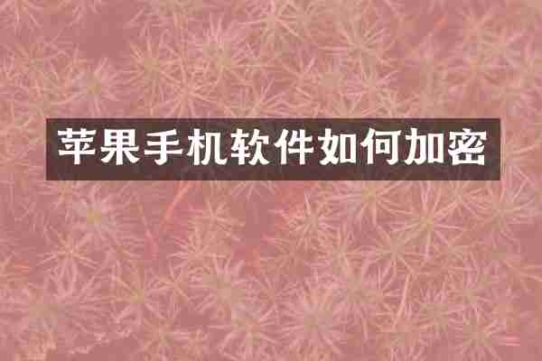 苹果手机软件如何加密