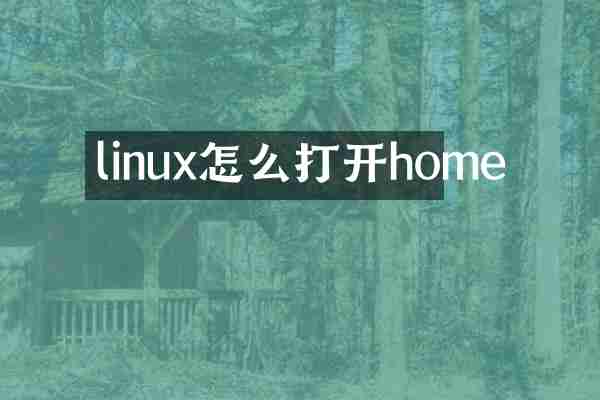 linux怎么打开home