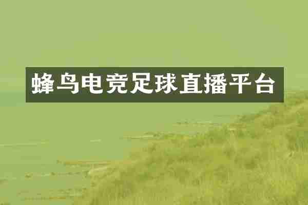 蜂鸟电竞足球直播平台
