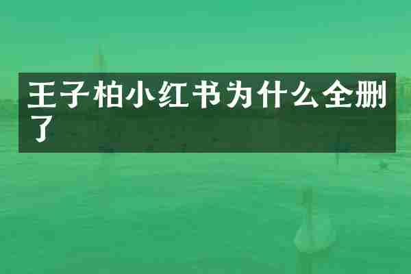 王子柏小红书为什么全删了
