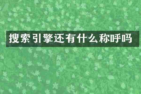 搜索引擎还有什么称呼吗