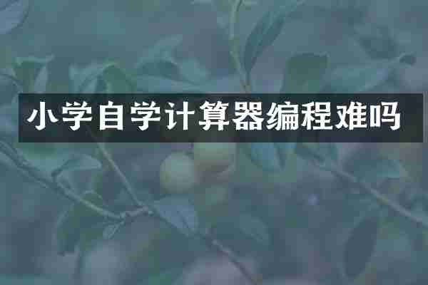 小学自学计算器编程难吗