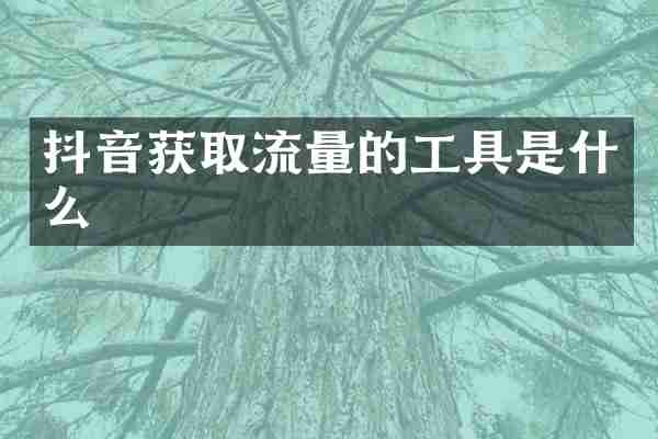 抖音获取流量的工具是什么