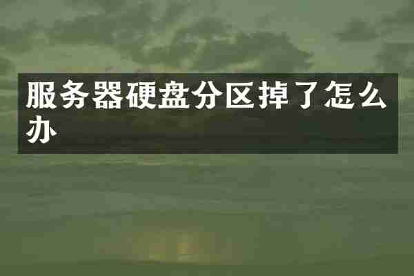 服务器硬盘分区掉了怎么办