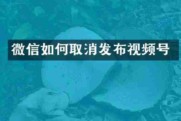 微信如何取消发布视频号
