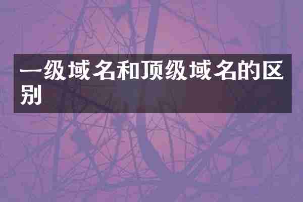 一级域名和顶级域名的区别