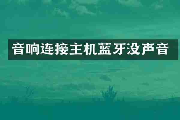 音响连接主机蓝牙没声音