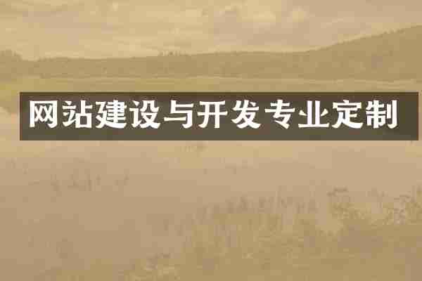 网站建设与开发专业定制