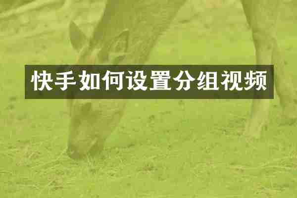快手如何设置分组视频