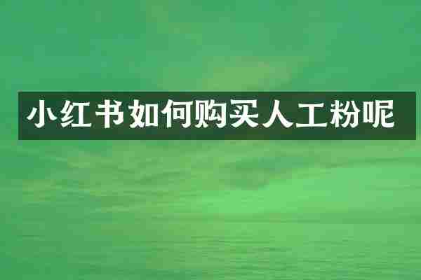 小红书如何购买人工粉呢