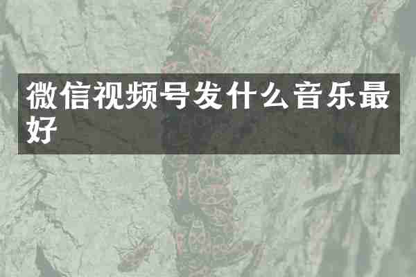 微信视频号发什么音乐最好