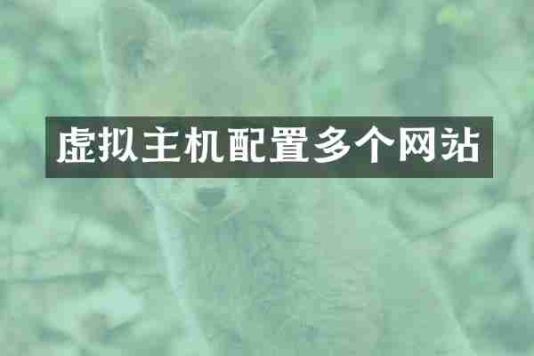 虚拟主机配置多个网站