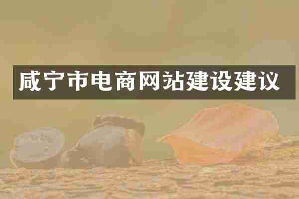 咸宁市电商网站建设建议
