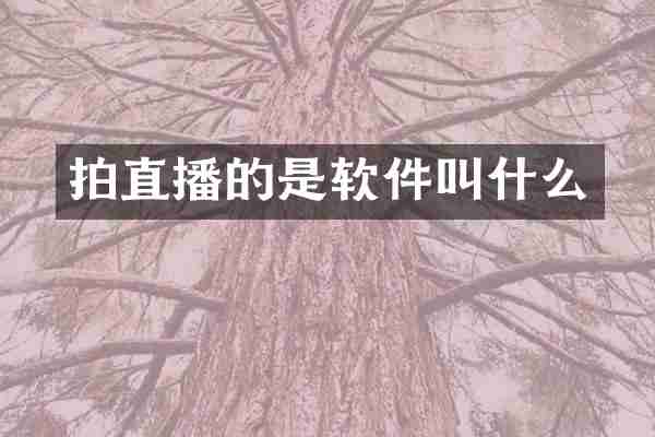 拍直播的是软件叫什么