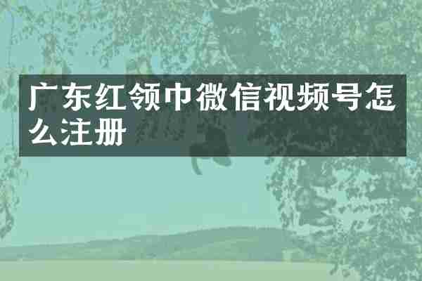 广东红领巾微信视频号怎么注册