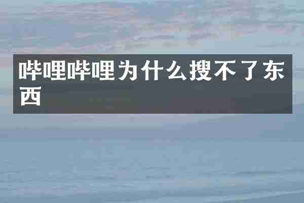 哔哩哔哩为什么搜不了东西