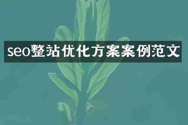 seo整站优化方案案例范文