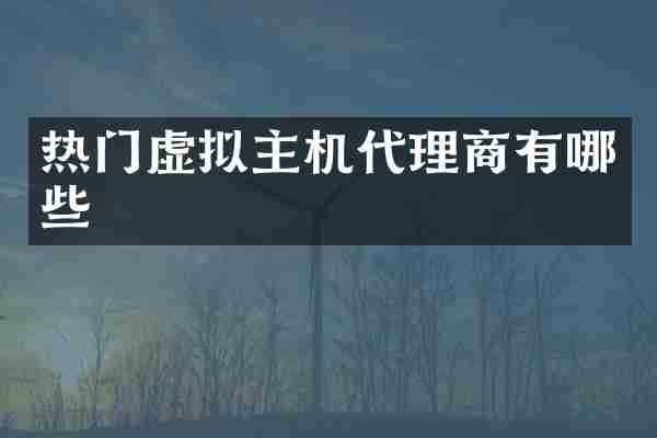 热门虚拟主机代理商有哪些
