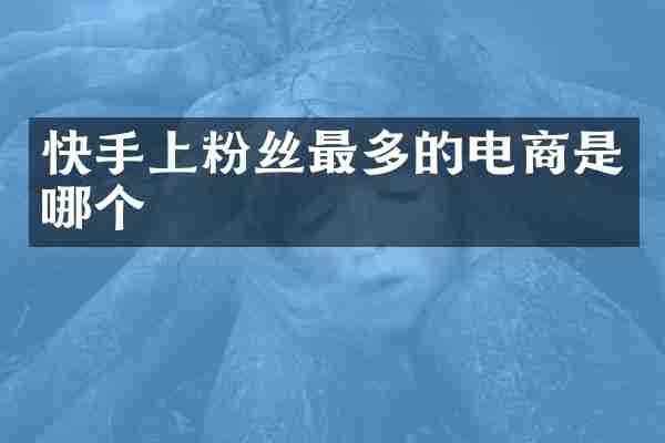 快手上粉丝最多的电商是哪个