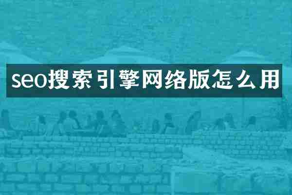 seo搜索引擎网络版怎么用