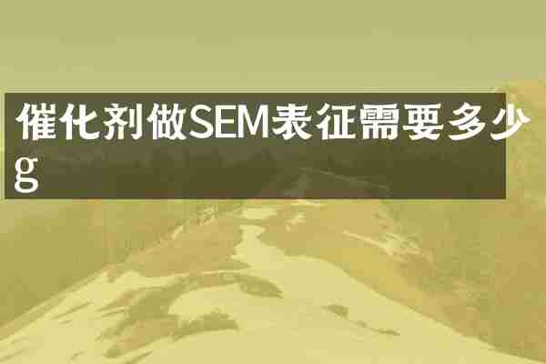 催化剂做SEM表征需要多少g