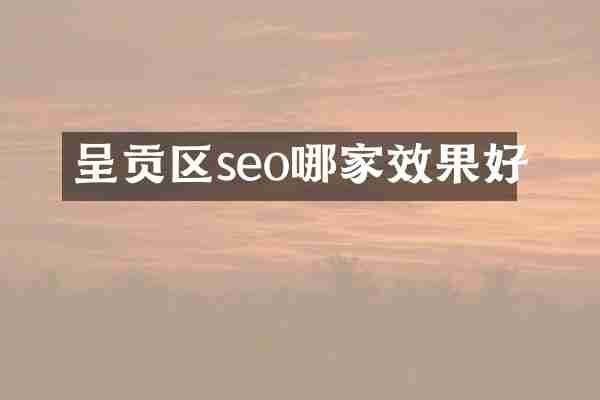 呈贡区seo哪家效果好