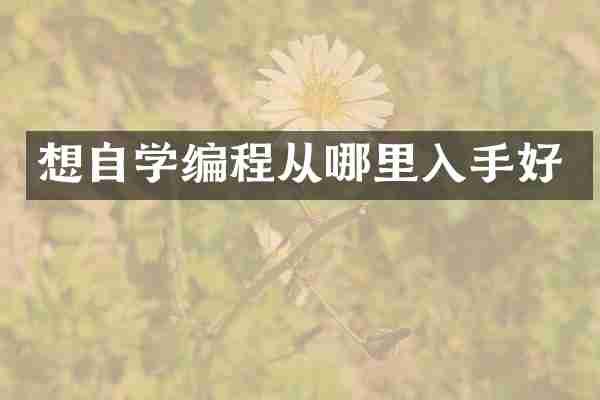 想自学编程从哪里入手好