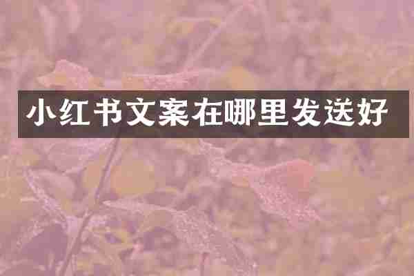 小红书文案在哪里发送好