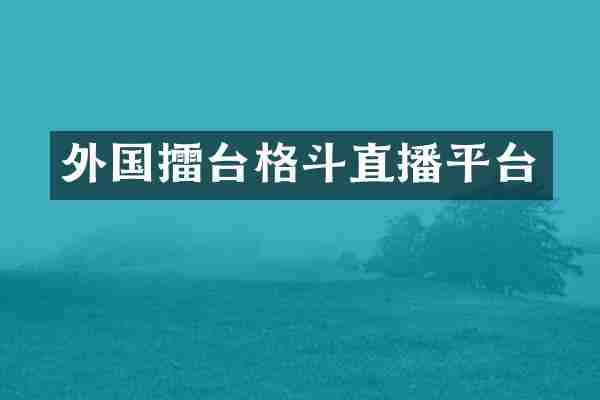 外国擂台格斗直播平台