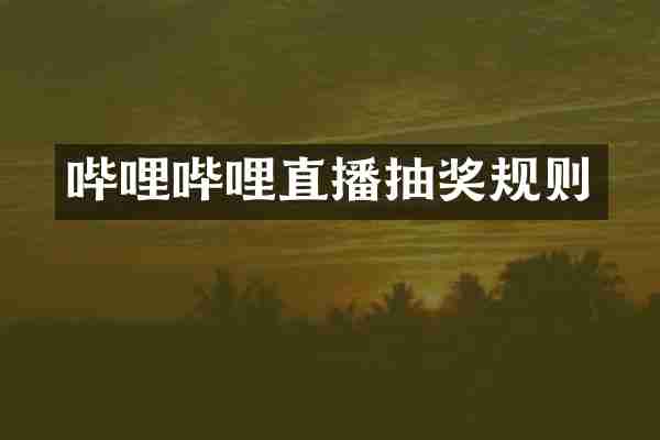 哔哩哔哩直播抽奖规则