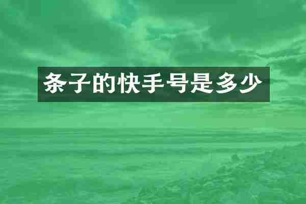 条子的快手号是多少