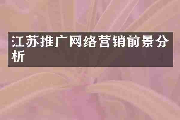江苏推广网络营销前景分析