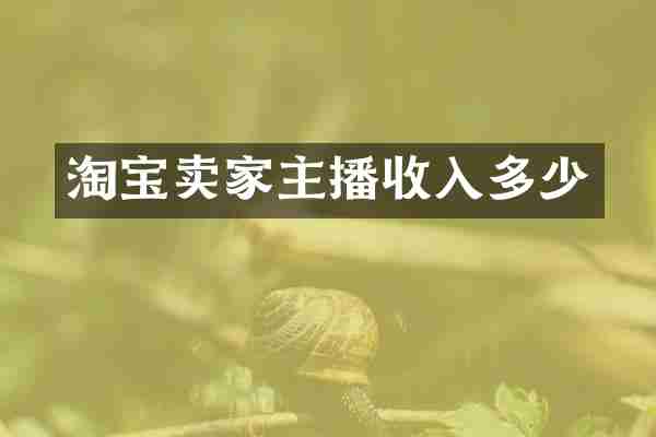 淘宝卖家主播收入多少