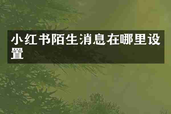 小红书陌生消息在哪里设置