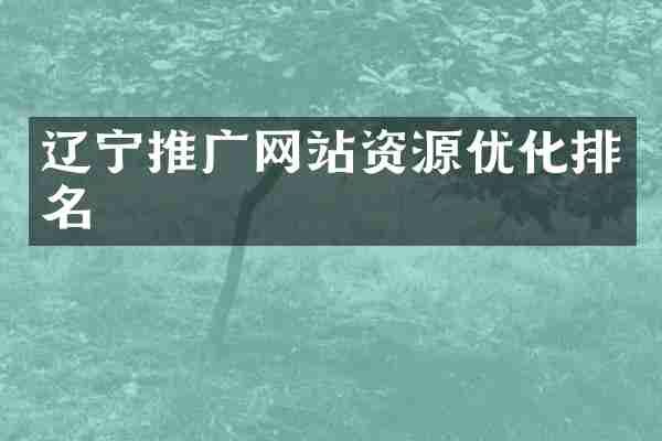 辽宁推广网站资源优化排名