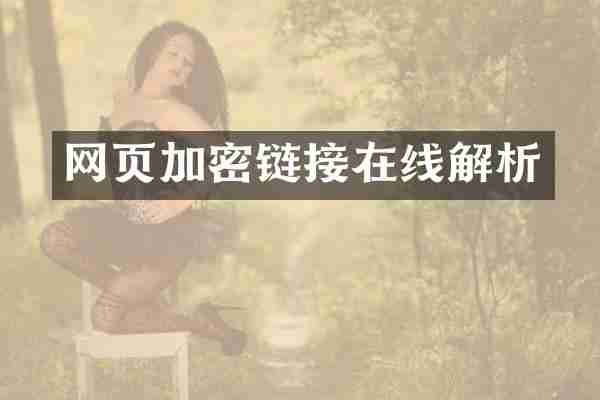 网页加密链接在线解析